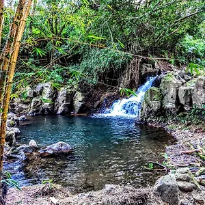 Hamakua 2* Pepeekeo
